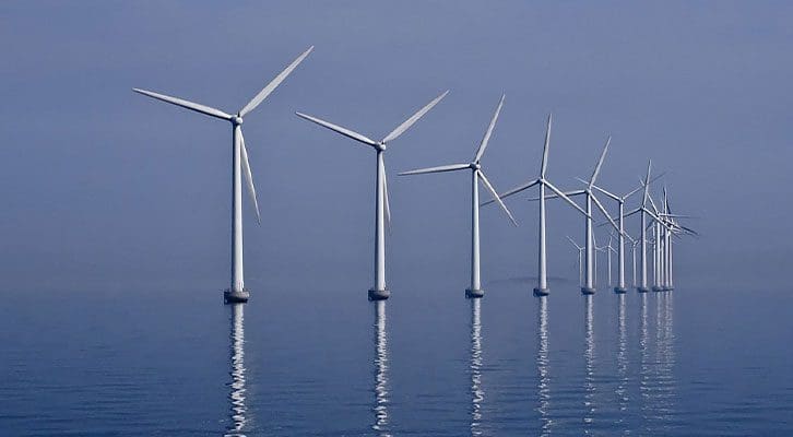 toedliche-energiewende:-offshore-windparks-machen-krebse-traege,-gestresst-&-krank
