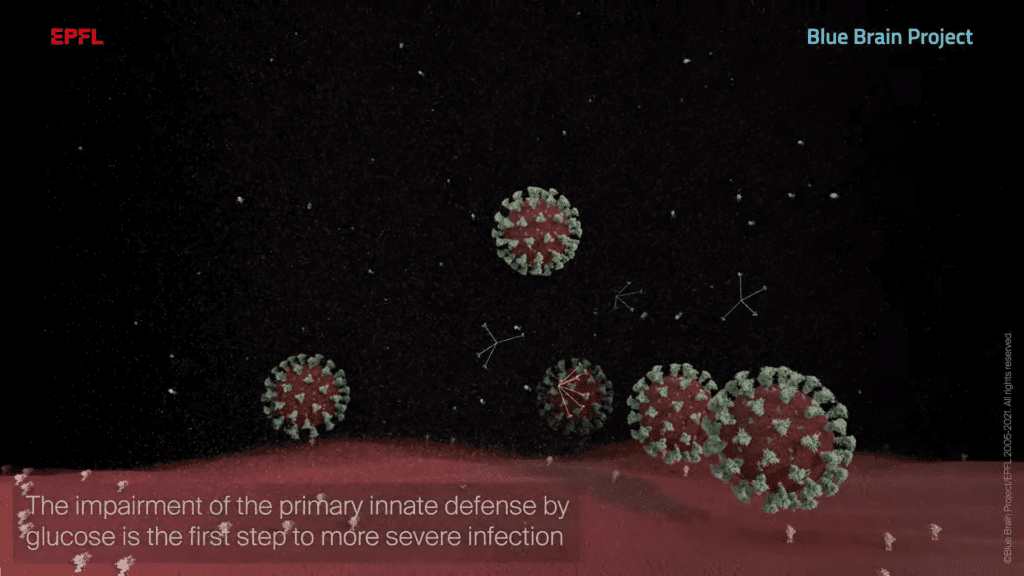 visualisiert-in-3d:-so-hilft-zucker-dem-coronavirus-in-lungenzellen-einzudringen