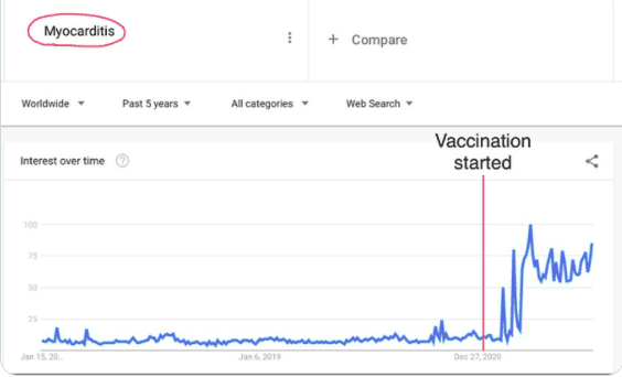 google-trends-zeigt-starke-zunahme-von-suchanfragen-fuer-myokarditis