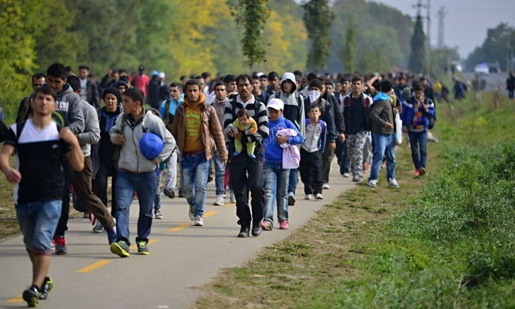 was-die-europaeer-ueber-migration-und-einwanderung-wirklich-denken