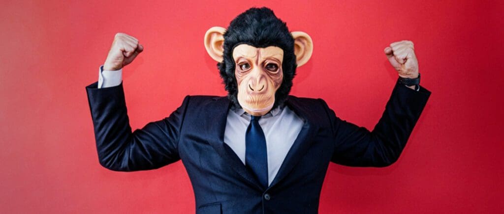 monkey-business-| von-paul-schreyer