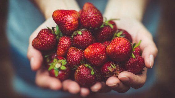 cancel-cuisine:-erdbeeren