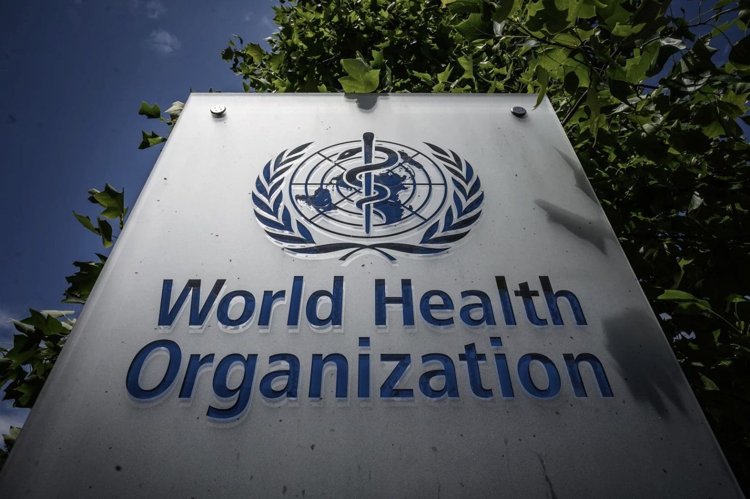 who-used-bad-measure-of-excess-mortality
