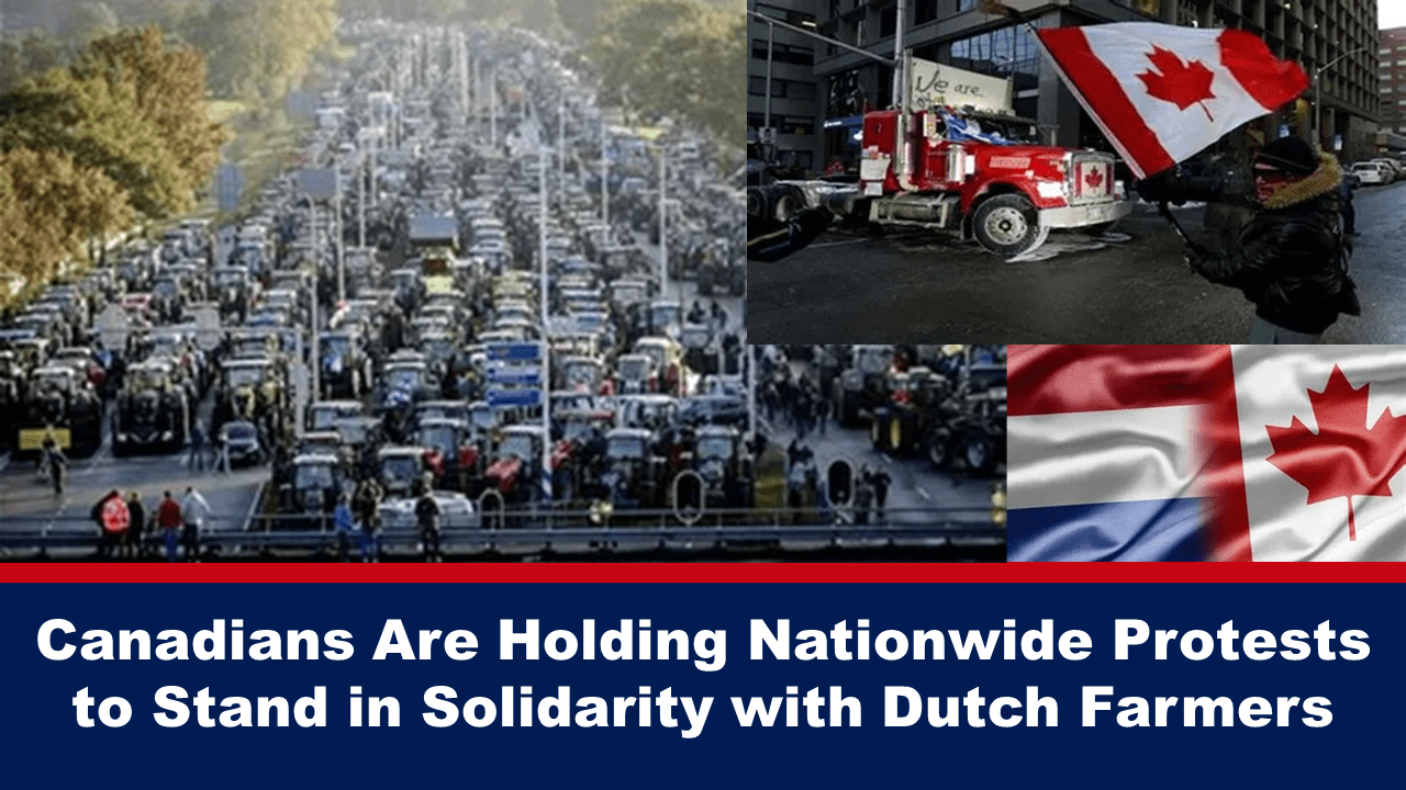 canadians-are-holding-nationwide-protests-to-stand-in-solidarity-with-dutch-farmers