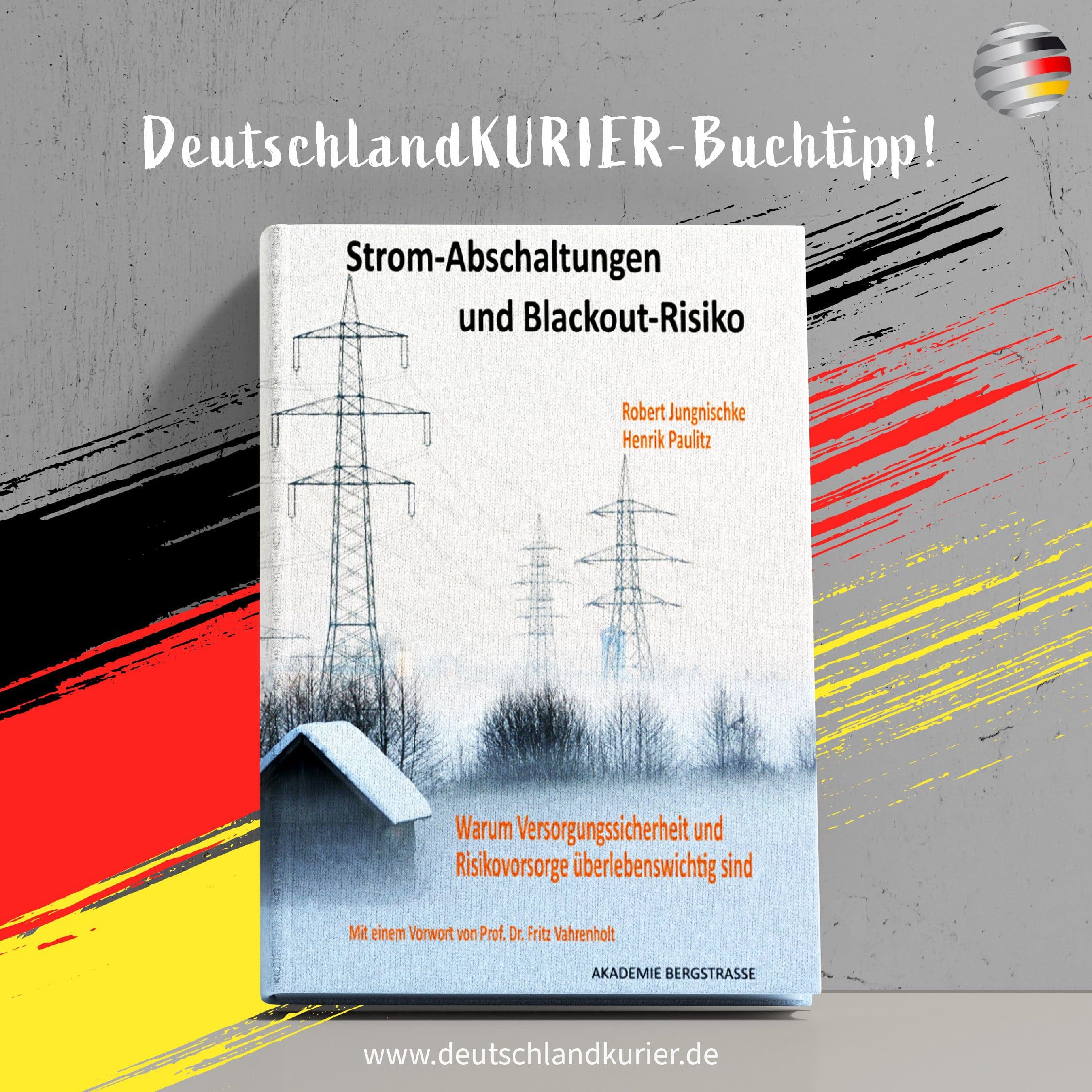 strom-abschaltungen-und-blackout-risiko-von-robert-jungnischke-und-henrik-paulitz