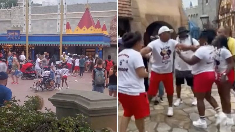 “where-is-security?”-massive-brawl-breaks-out-at-disney-world