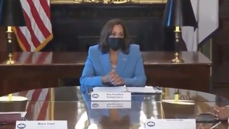 watch:-kamala’s-‘pronouns-are-she-and-her,’-she-‘is-a-woman-sitting-at-the-table-wearing-a-blue-suit’