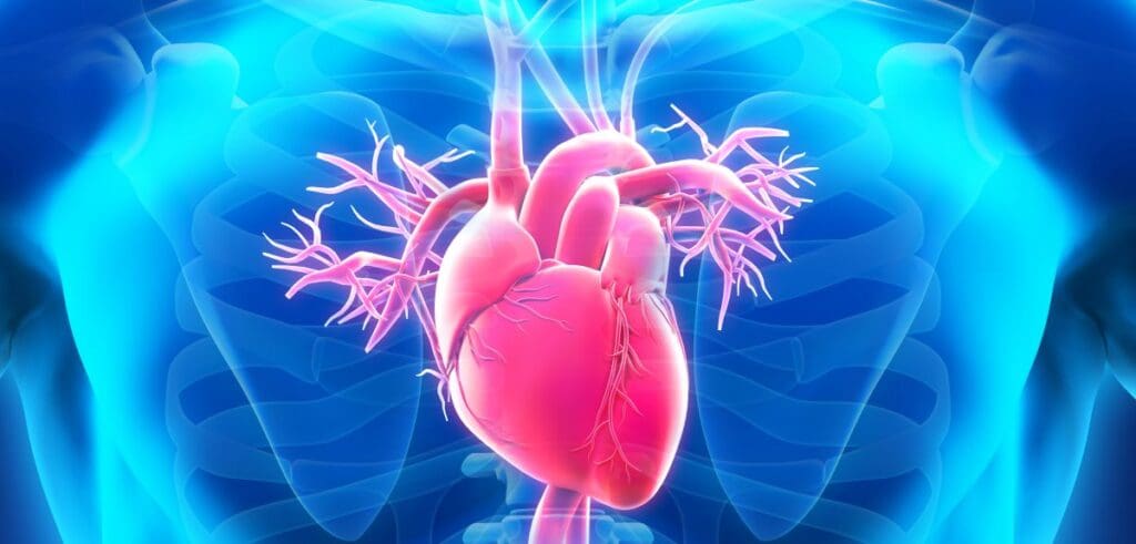 spike-protein-by-itself-damages-heart,-scientists-find