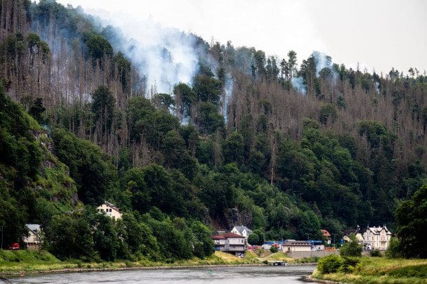 waldbrandkatastrophe-in-der-saechsischen-schweiz:-und-sie-sind-helden