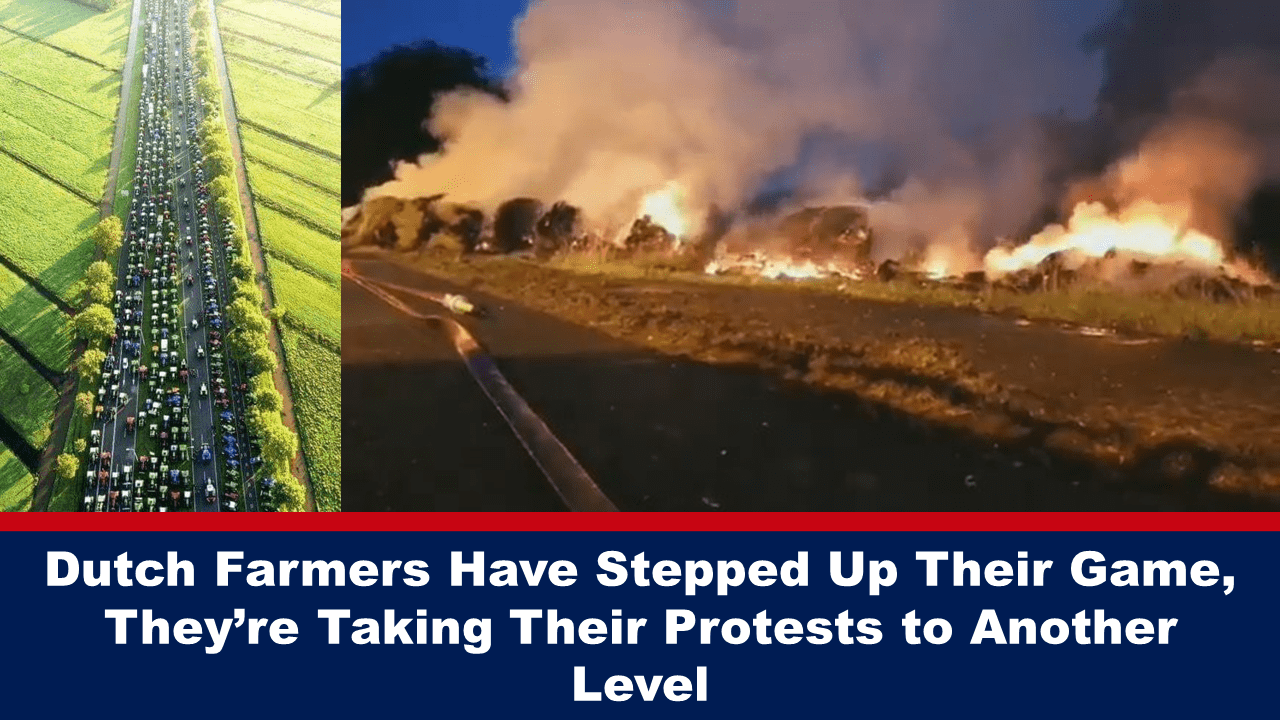dutch-farmers-have-stepped-up-their-game,-they’re-taking-their-protests-to-another-level