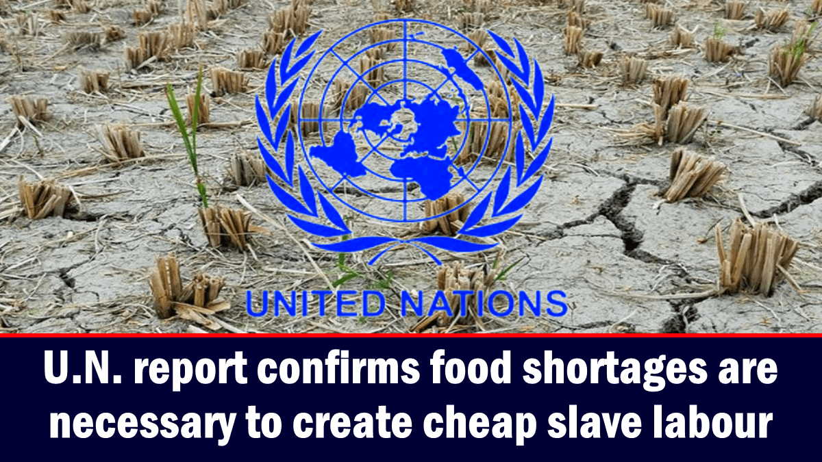 un.-report-confirms-food-shortages-are-necessary-to-create-cheap-slave-labour