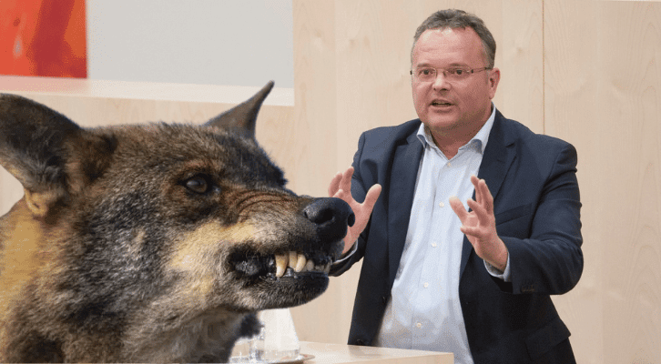 fpoe-hauser:-wolfsmanagement-schuetzt-menschen-und-tiere