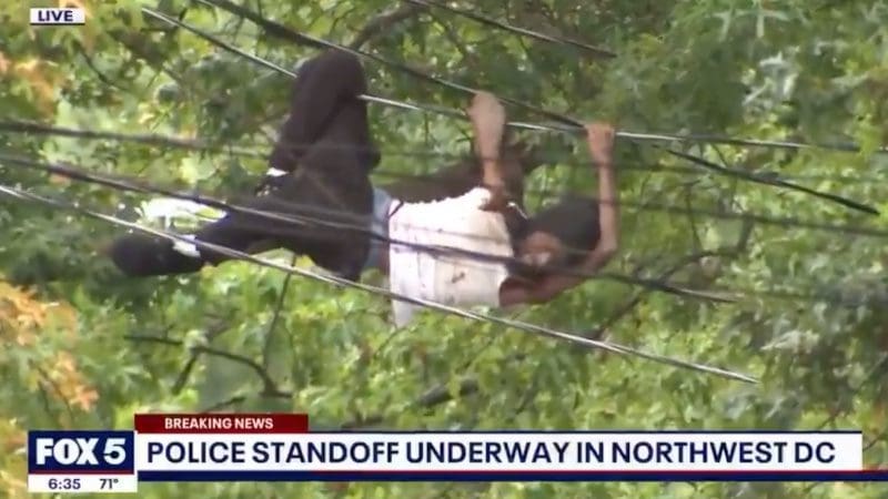 wild-video:-suspect-climbs-power-lines-during-dc-crime-spree