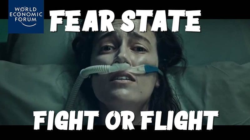 fear-state:-fight-or-flight!