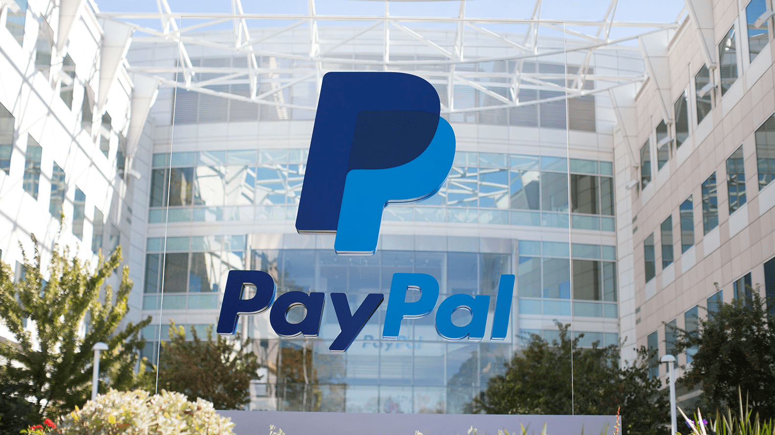 “paypal,-you-messed-with-the-wrong-guy”