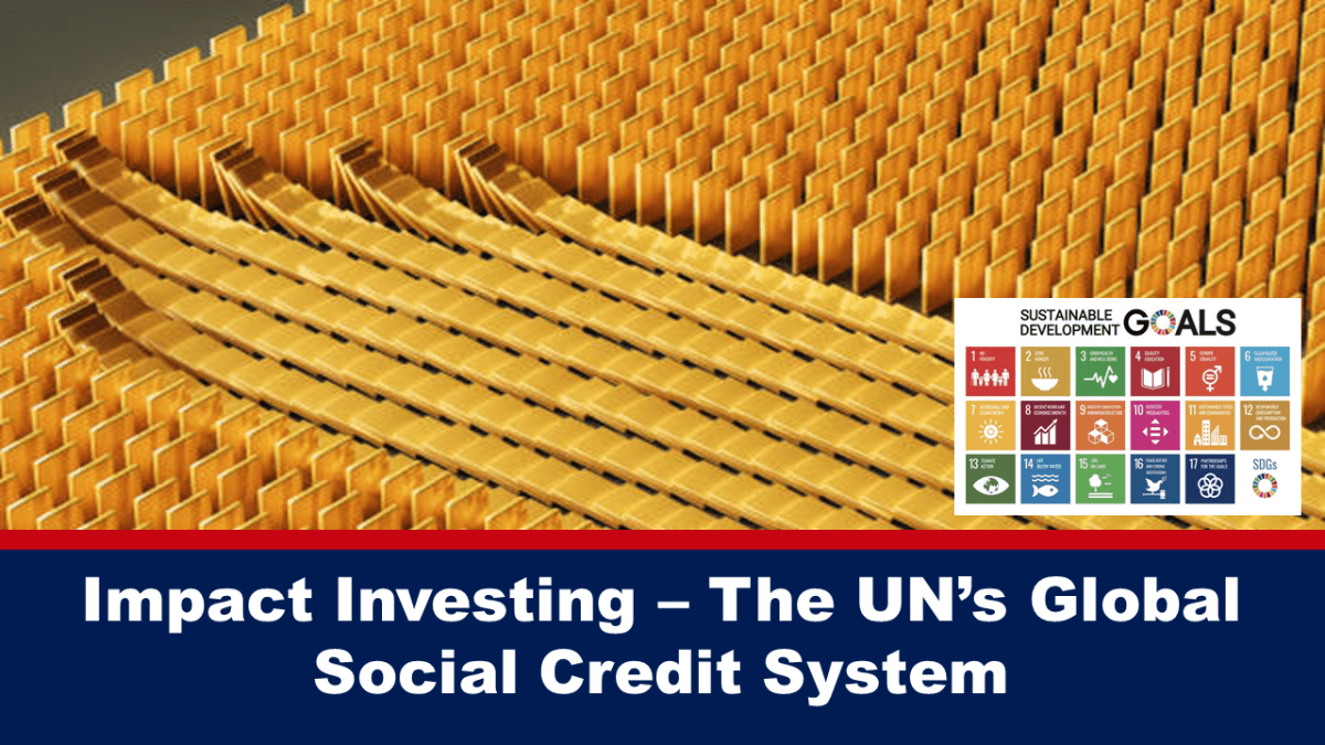 impact-investing-–-the-un’s-global-social-credit-system
