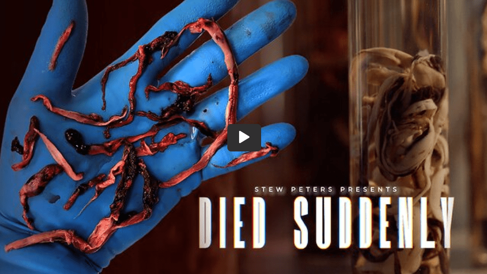 „died-suddenly“-–-filmpremiere-sorgt-fuer-aufsehen