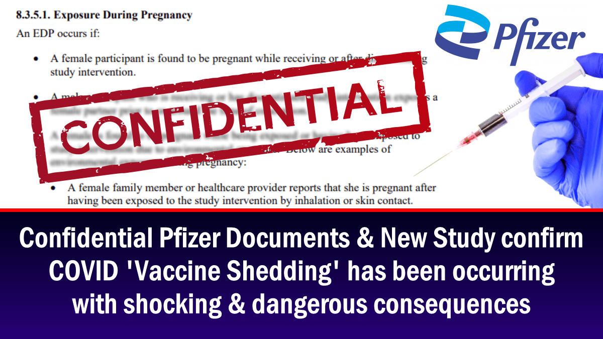 confidential-pfizer-documents-&-new-study-confirm-covid-‘vaccine-shedding’-has-been-occurring-with-shocking-&-dangerous-consequences