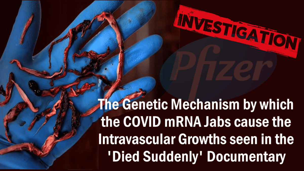 the-genetic-mechanism-by-which-the-covid-mrna-jabs-cause-the-intravascular-growths-seen-in-the-‘died-suddenly’-documentary