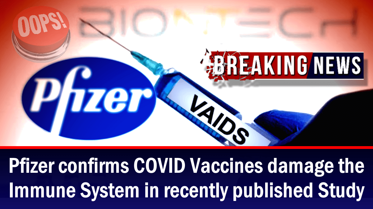 pfizer-confirms-covid-vaccines-damage-the-immune-system-in-recently-published-study