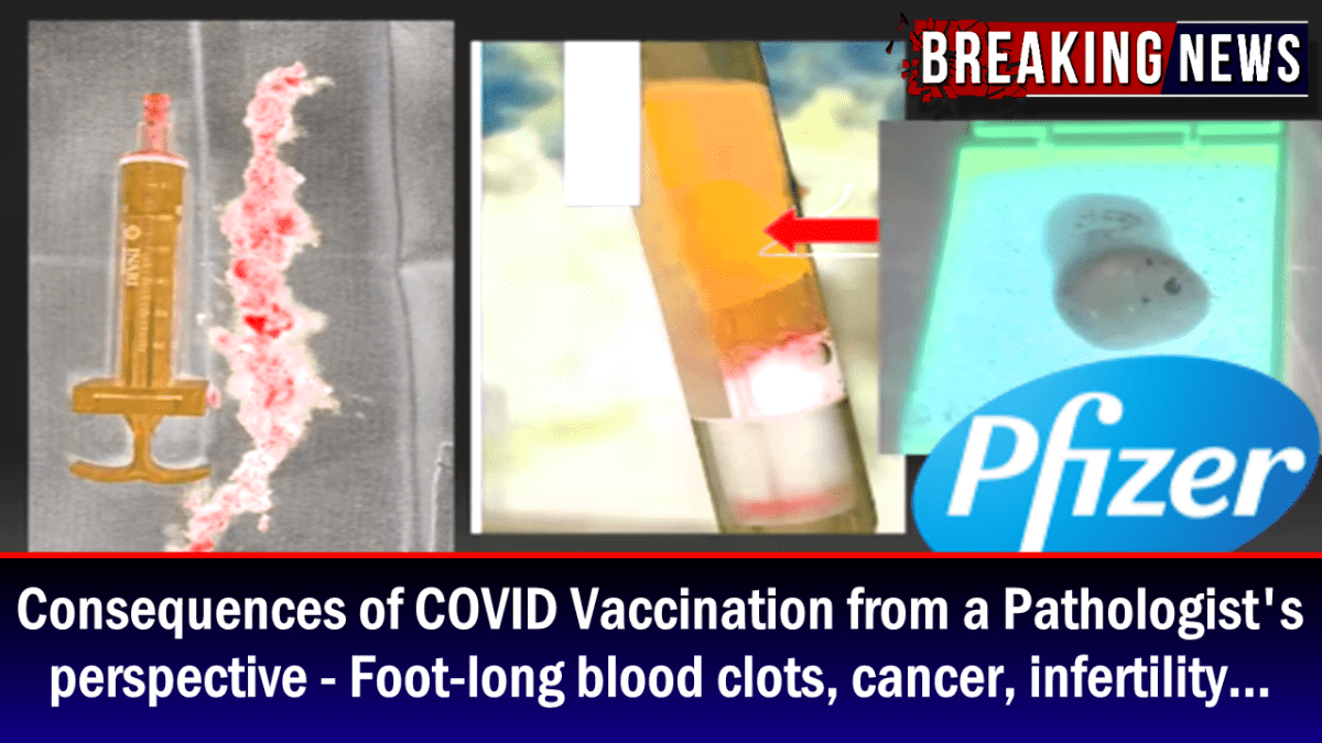 consequences-of-covid-vaccination-from-a-pathologist’s-perspective-–-foot-long-blood-clots,-cancer,-infertility…