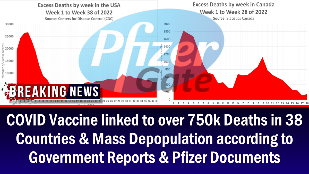 covid-vaccine-linked-to-over-750k-deaths-in-38-countries-&-mass-depopulation-according-to-government-reports-&-pfizer-documents