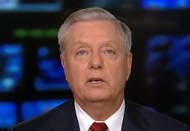 “nothing-good-comes-from-having-mitch-mcconnell’s-mini-me,-lindsey-graham,-the-snake,-around-you-at-all”-–-steve-bannon-warns-trump-on-lindsey-“the-cancer”-(video)