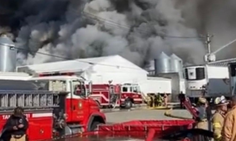massive-fire-mysteriously-occurs-at-egg-farm-in-connecticut