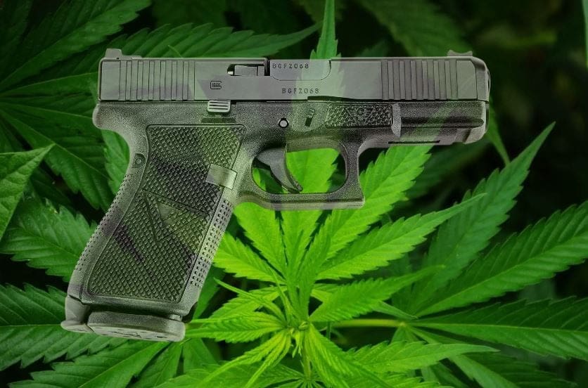federal-judge-rules-banning-guns-for-marijuana-users-is-unconstitutional