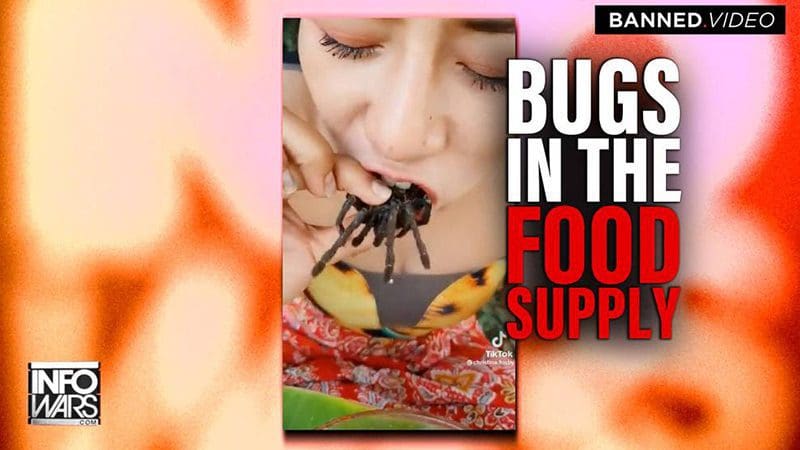 video:-woman-eats-live-spiders-as-bill-gates-moves-to-dominate-the-food-supply