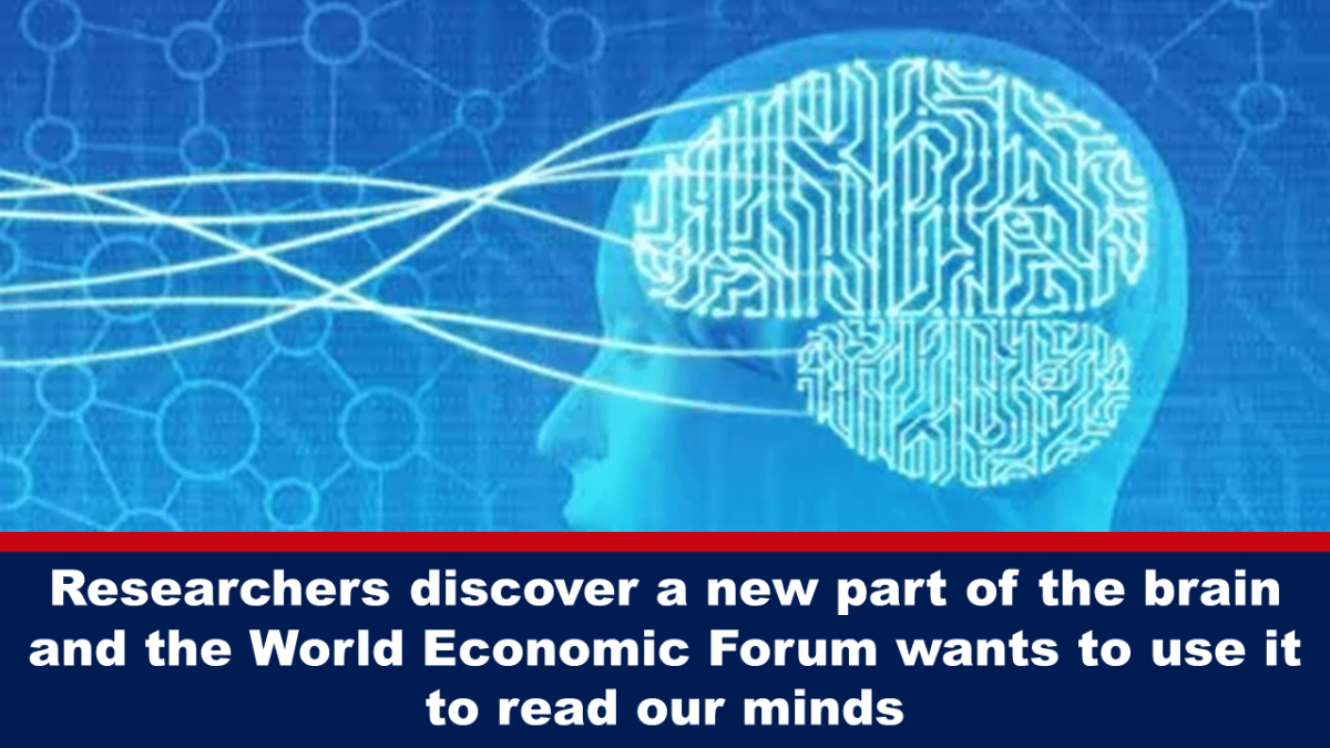researchers-discover-a-new-part-of-the-brain-and-the-world-economic-forum-wants-to-use-it-to-read-our-minds