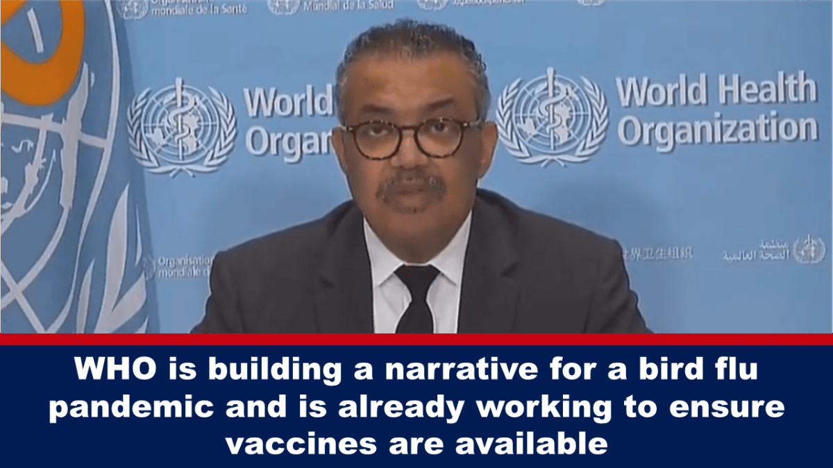 who-is-building-a-narrative-for-a-bird-flu-pandemic-and-is-already-working-to-ensure-vaccines-are-available