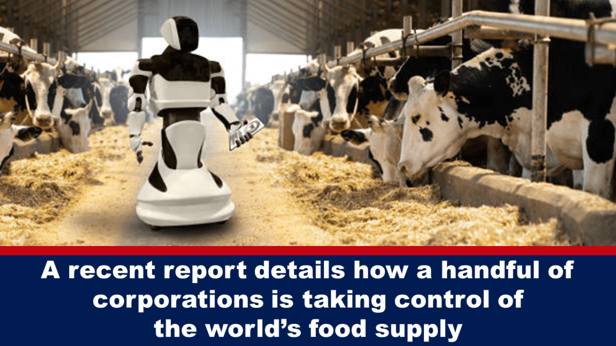 a-recent-report-details-how-a-handful-of-corporations-is-taking-control-of-the-world’s-food-supply