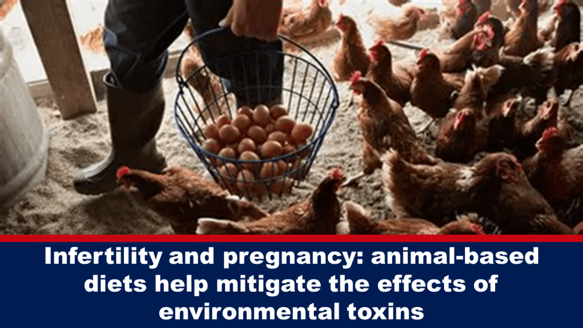infertility-and-pregnancy:-animal-based-diets-help-mitigate-the-effects-of-environmental-toxins
