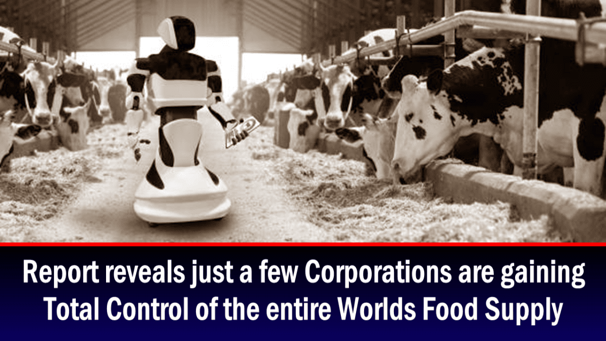 report-details-how-a-handful-of-corporations-are-taking-control-of-the-world’s-food-supply