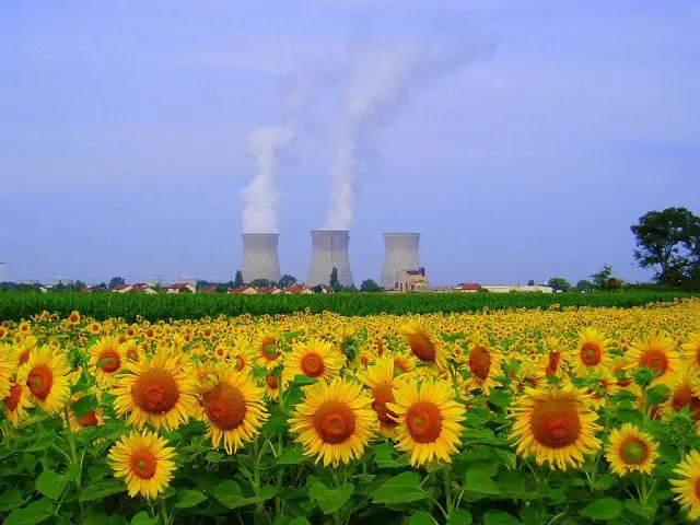neue-allianz:-elf-eu-laender-wollen-atomenergie-vorantreiben