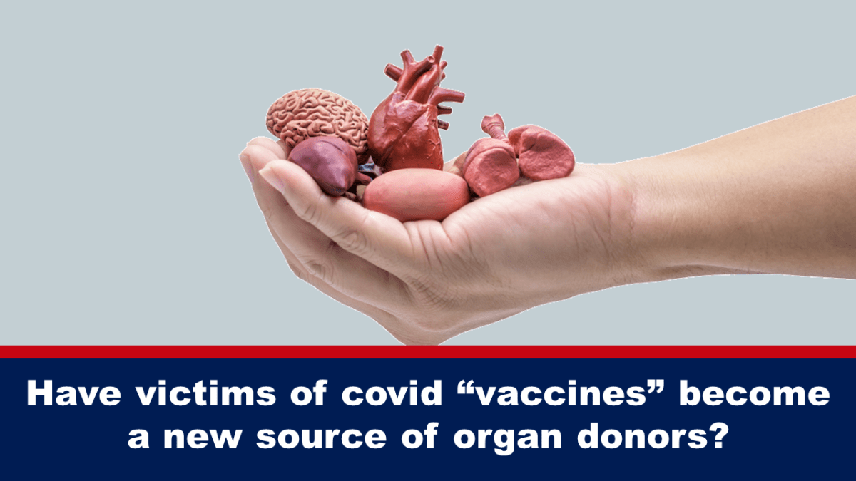 have-victims-of-covid-“vaccines”-become-a-new-source-of-organ-donors?