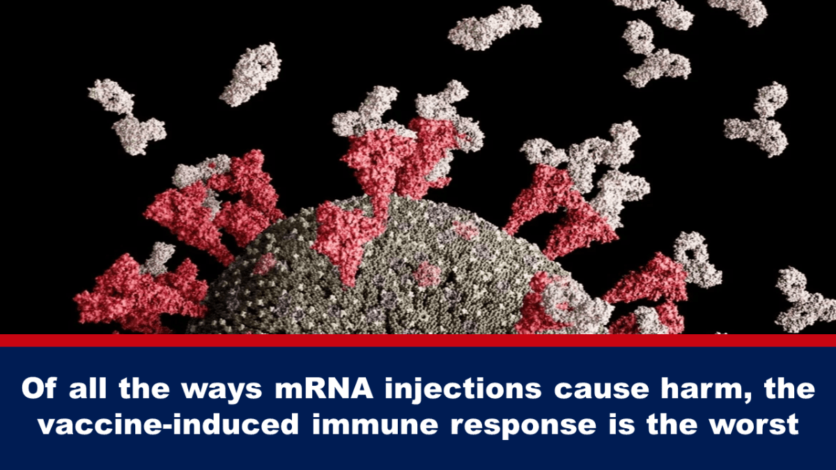 of-all-the-ways-mrna-injections-cause-harm,-the-vaccine-induced-immune-response-is-the-worst