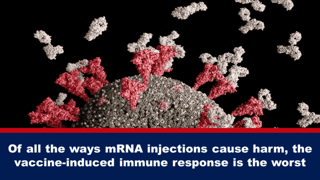 the-vaccine-induced-immune-response-is-the-most-harmful-effect-of-mrna-injections