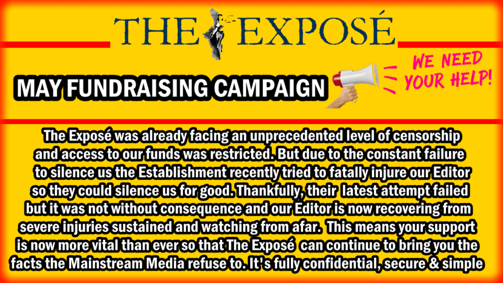 help-save-us-from-the-establishment:-urgent-may-fundraising-campaign-for-the-expose