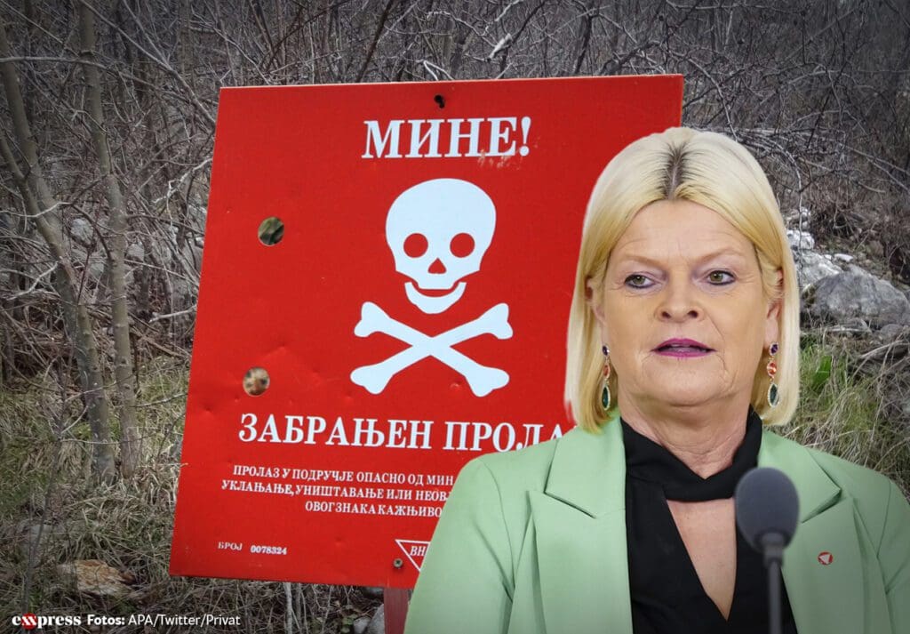 keine-soldaten-fur-minen-suche-ukrainer-beflegeln-osterreich-mit-nazi-keule