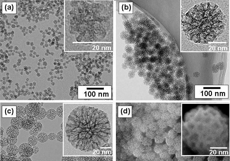 zur-wissenschaftlichen-aufarbeitung-der-covid-19-pandemie-schaeden-durch-lipid-nanopartikel