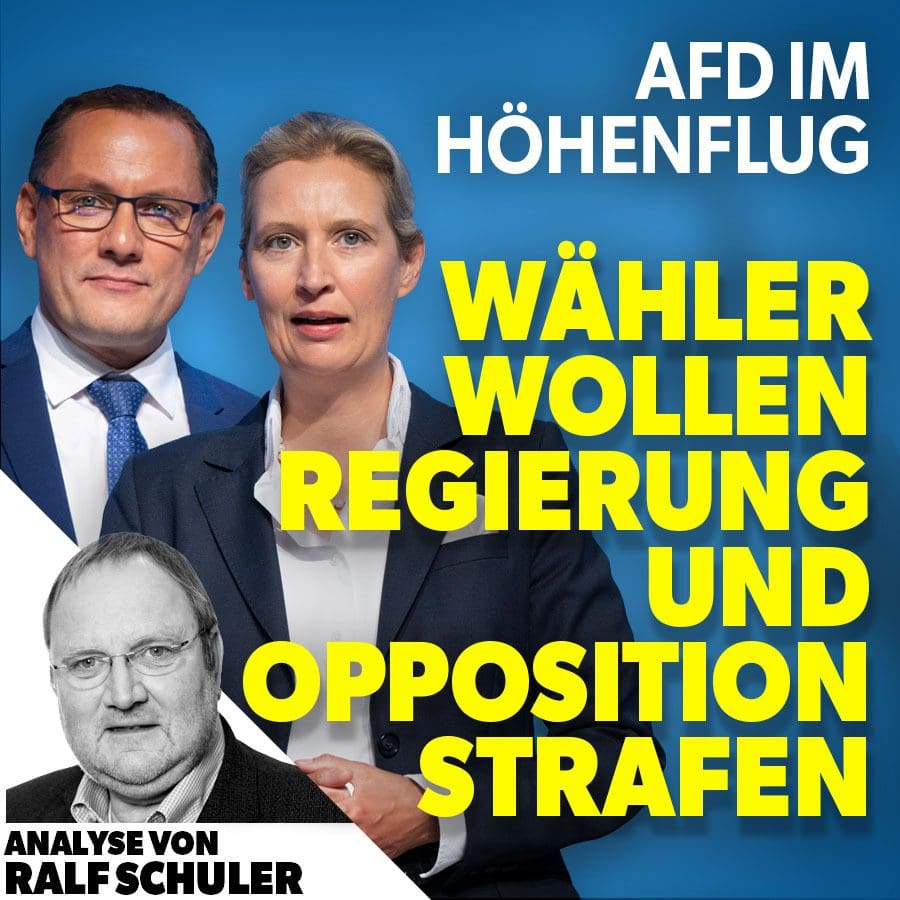 afd-im-hoehenflug-waehler-wollen-regierung-und-opposition-strafen