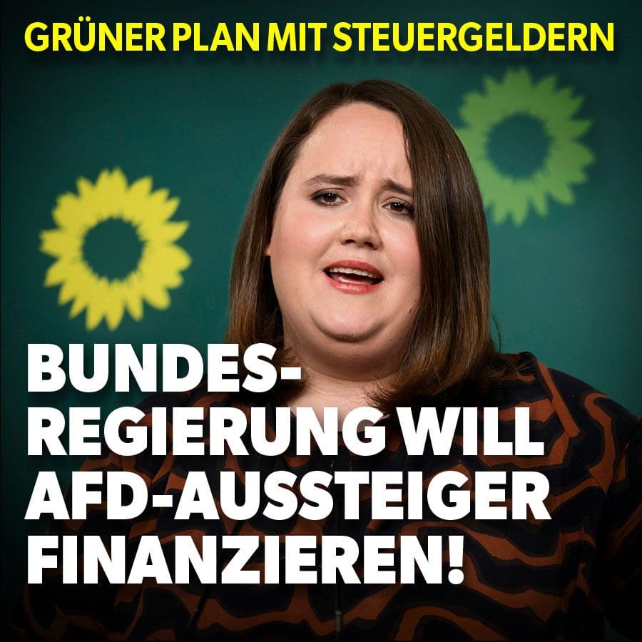 gruener-plan-mit-steuergeldern-bundesregierung-will-afd-aussteiger-finanzieren