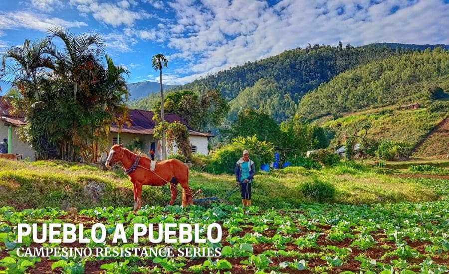 pueblo-a-pueblo“-in-venezuela:-nahrung-ist-keine-ware-sondern-ein-menschenrecht