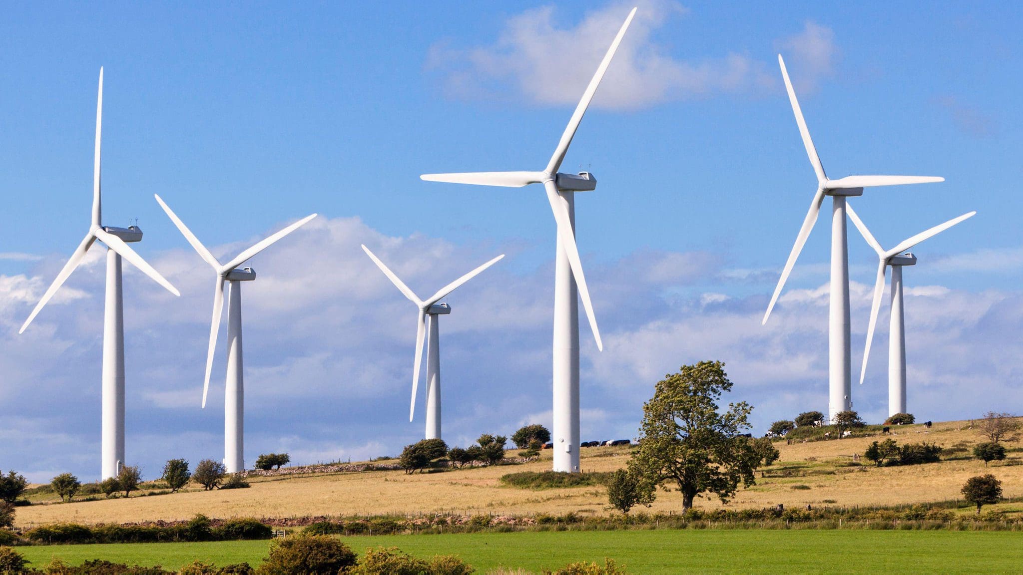 windindustrie-erpresst-grossbritannien-und-fordert-massive-erhoehung-der-subventionen