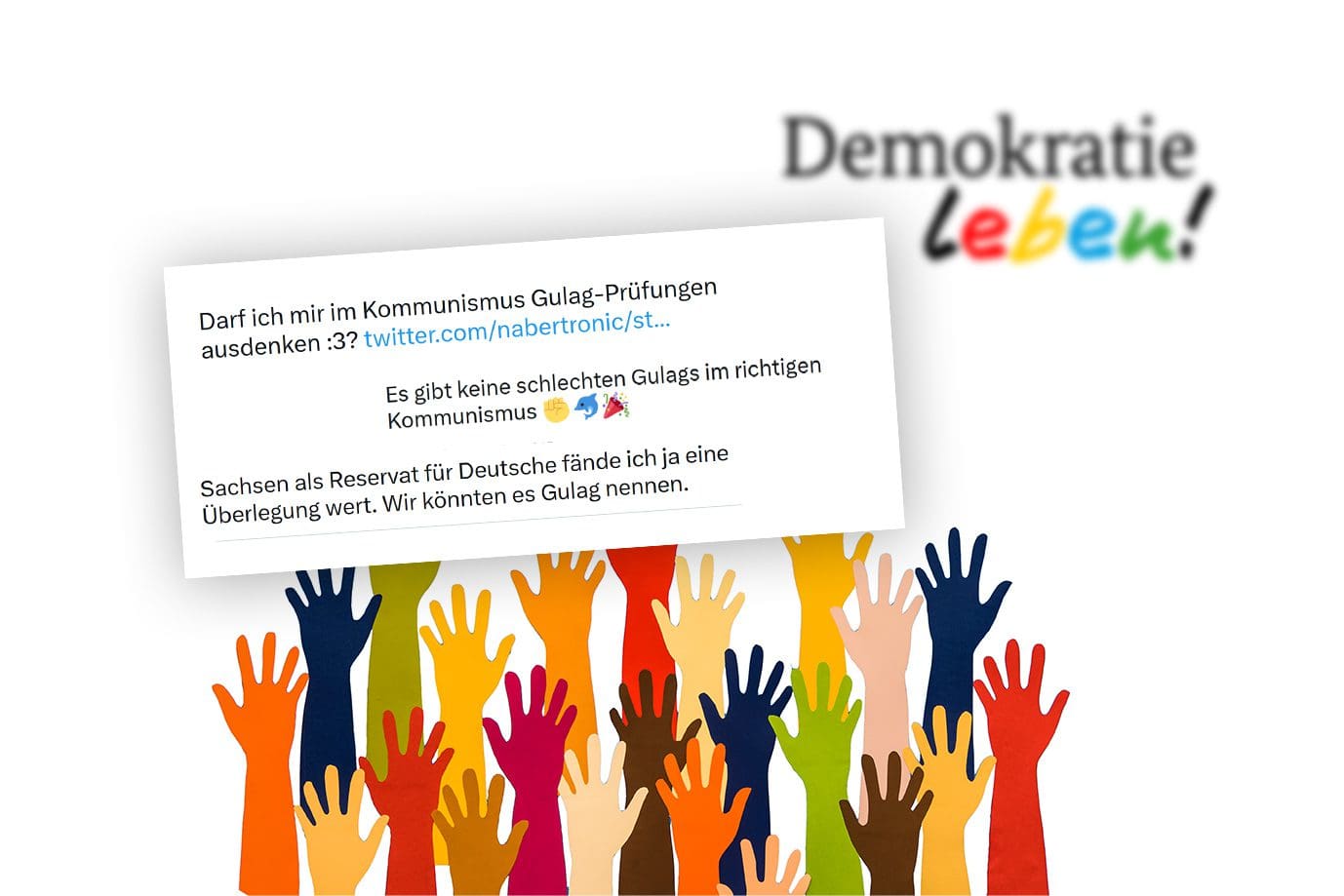 programm-„demokratie-leben!“:-geld-der-steuerzahler-fuer-hass-gegen-deutsche