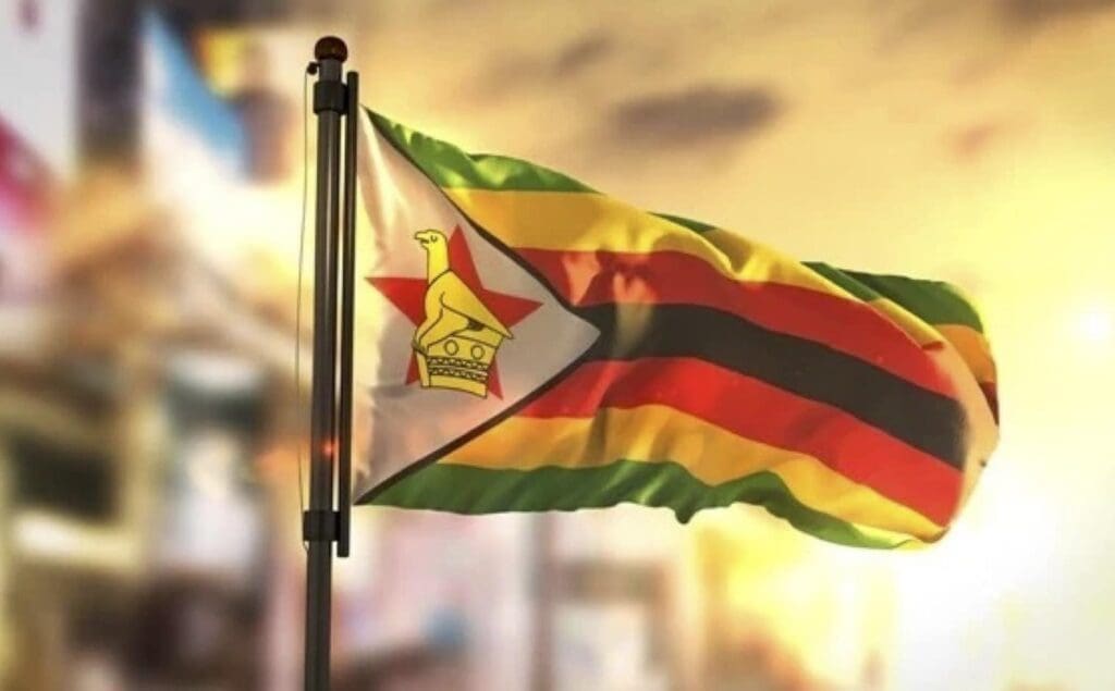 zimbabwes-oppositionspartei-behauptet,-dass-ein-anhaenger-von-der-regierungspartei-getoetet-wurde
