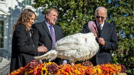 dankbarkeit-auf-nationaler-ebene:-thanksgiving-als-neuer-feiertag-in-der-ukraine