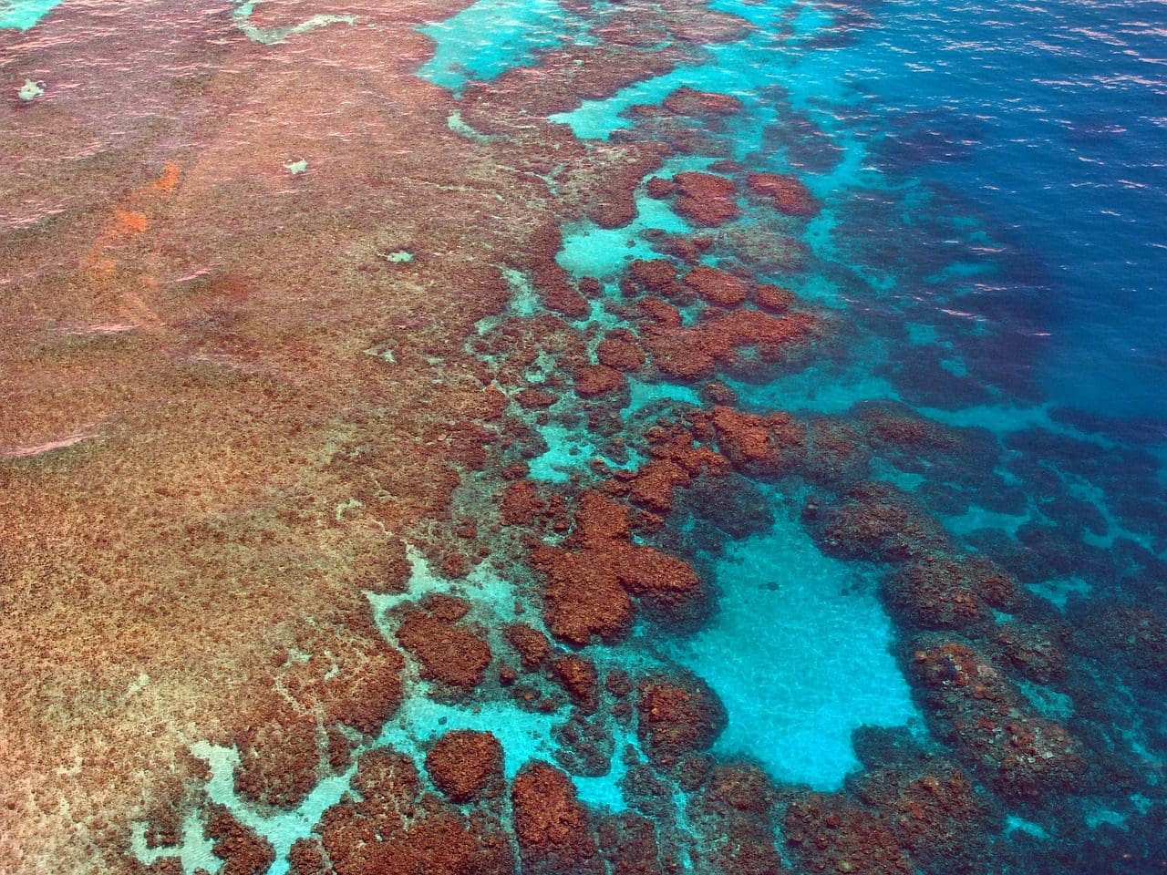 el-nino-koennte-das-great-barrier-reef-in-australien-gefaehrden